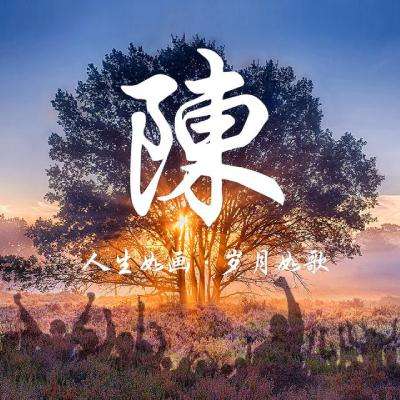 中国木材与木制品流通协会木作专业委员会在广西南宁成立